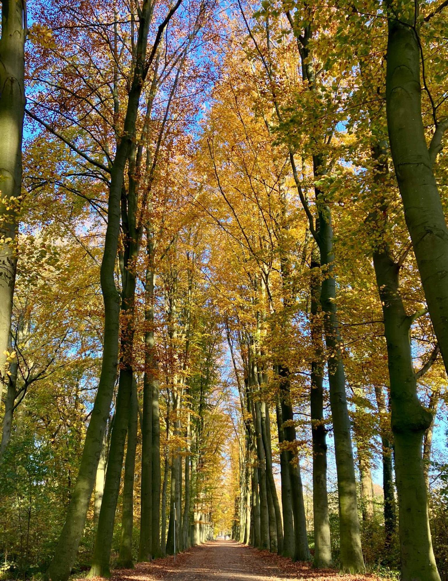 Waerdenhoeve Waardenburg ภายนอก รูปภาพ